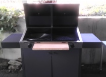 Braii_Gasgrill.jpg Braii_Gasgrill.jpg